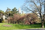 Central Park in New York City, United States