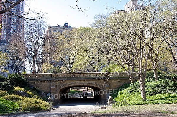 Dalehead Arch in Central Park in New York City, United States