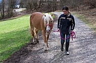 Horse and girl walking