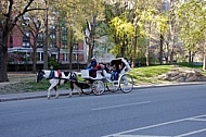 Horse-drawn carriage ride, Central Park in New York City, United States