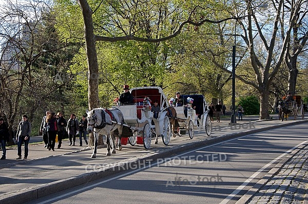 Horse-drawn carriage ride, Central Park in New York City, United States
