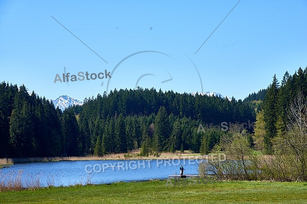 Riedener Faulensee, Allgäu, Bavaria, Germany