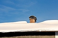 Roof, Snow
