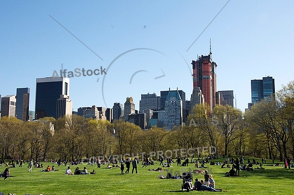 Sheep Meadow in Central Park in New York City, United States