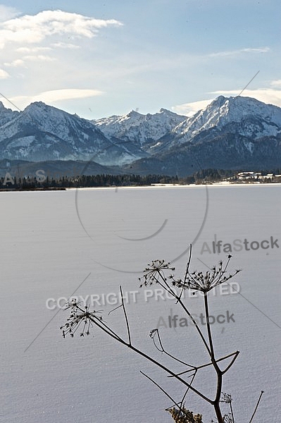 Winter in the Lake Hopfensee, Hopfen am See, Bavaria, Germany