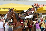 2011-09-03-04 Kaiser Maximilen 1. Festumzüge, Füssen, Bavaria, Germany