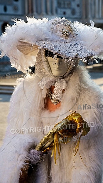 2012-02 Carnival of Venice, Italy