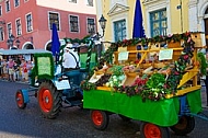 2013-07-20 19. Donauwörther Reichsstrassenfest, Bavaria, Germany