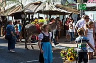 2013-07-20 19. Donauwörther Reichsstrassenfest, Bavaria, Germany