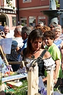 2013-07-20 19. Donauwörther Reichsstrassenfest, Bavaria, Germany