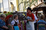 2013-07-20 19. Donauwörther Reichsstrassenfest, Bavaria, Germany