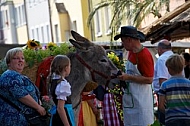 2013-07-20 19. Donauwörther Reichsstrassenfest, Bavaria, Germany