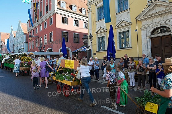 2013-07-20 19. Donauwörther Reichsstrassenfest, Bavaria, Germany