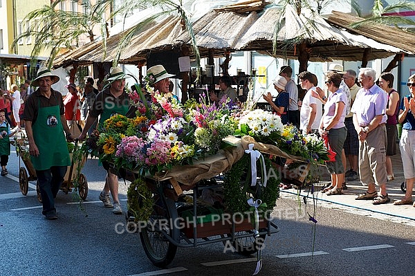 2013-07-20 19. Donauwörther Reichsstrassenfest, Bavaria, Germany