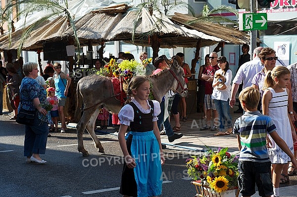 2013-07-20 19. Donauwörther Reichsstrassenfest, Bavaria, Germany