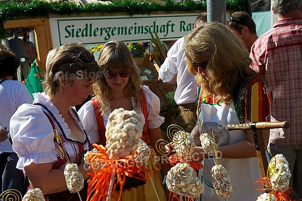 2013-07-20 19. Donauwörther Reichsstrassenfest, Bavaria, Germany