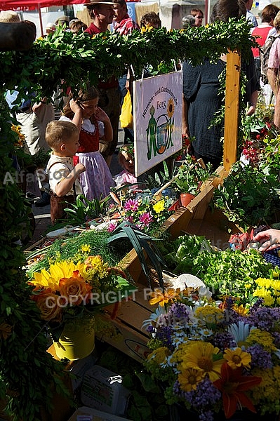 2013-07-20 19. Donauwörther Reichsstrassenfest, Bavaria, Germany