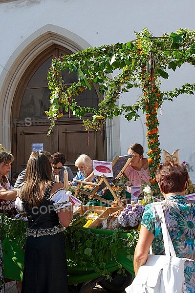 2013-07-20 19. Donauwörther Reichsstrassenfest, Bavaria, Germany