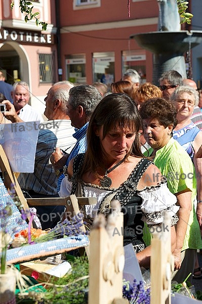 2013-07-20 19. Donauwörther Reichsstrassenfest, Bavaria, Germany