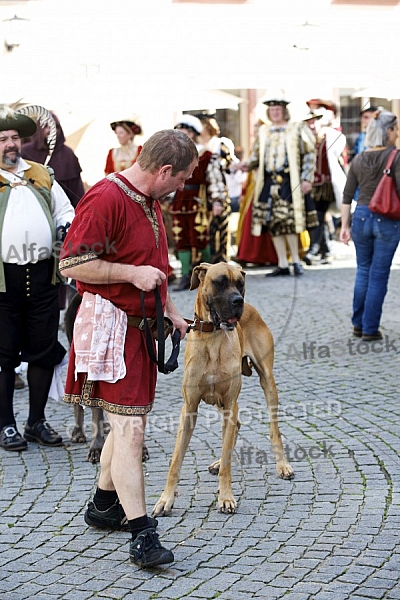 2014-09-06 Festumzüge in Füssen, Bavaria, Germany