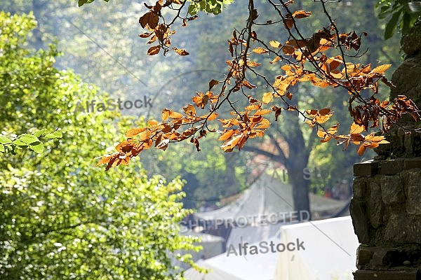 2014-09-06 Festumzüge in Füssen, Bavaria, Germany