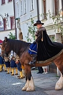 2015-06-07 Historische Festumzüge in Füssen, Bavaria, Germany