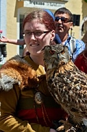 2015-06-07 Historische Festumzüge in Füssen, Bavaria, Germany