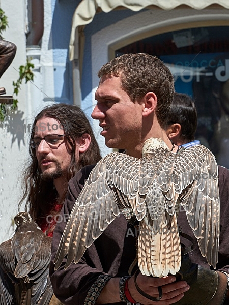 2015-06-07 Historische Festumzüge in Füssen, Bavaria, Germany