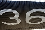 36