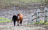  Horse and girl 