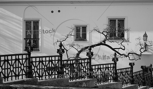  Windows, Budapest, Hungary 