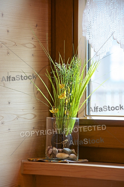 A vase plant