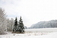 Alatsee, Winter, Bavaria, Germany