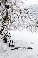 Alatsee, Winter, Bavaria, Germany