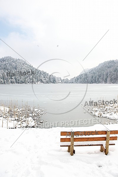 Alatsee, Winter, Bavaria, Germany