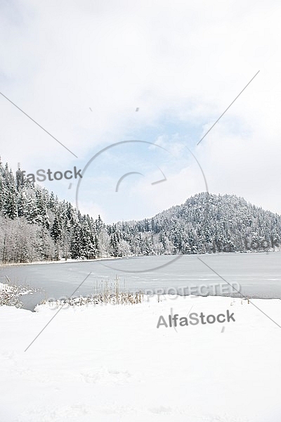 Alatsee, Winter, Bavaria, Germany