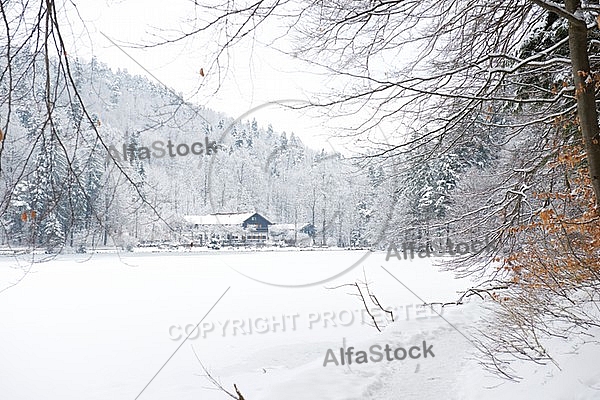 Alatsee, Winter, Bavaria, Germany