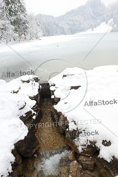 Alatsee, Winter, Bavaria, Germany