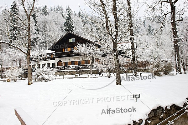 Alatsee, Winter, Bavaria, Germany