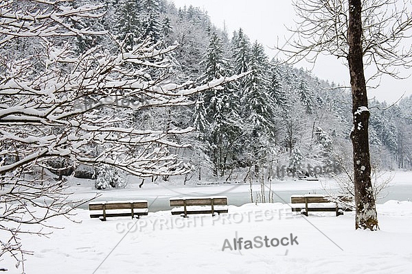 Alatsee, Winter, Bavaria, Germany