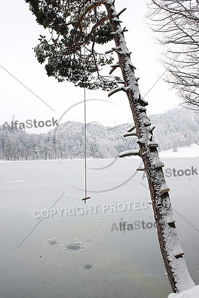 Alatsee, Winter, Bavaria, Germany