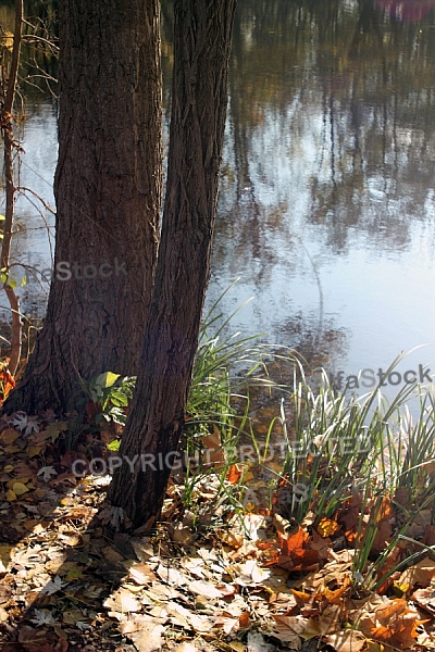 Autumn,  Autumn  in  the Lake