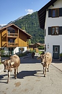 Bad Hindelang, Bavaria, Germany