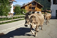 Bad Hindelang, Bavaria, Germany