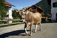 Bad Hindelang, Bavaria, Germany