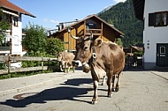 Bad Hindelang, Bavaria, Germany