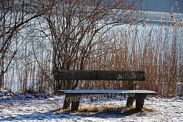 Bench furniture