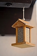 Bird feeder