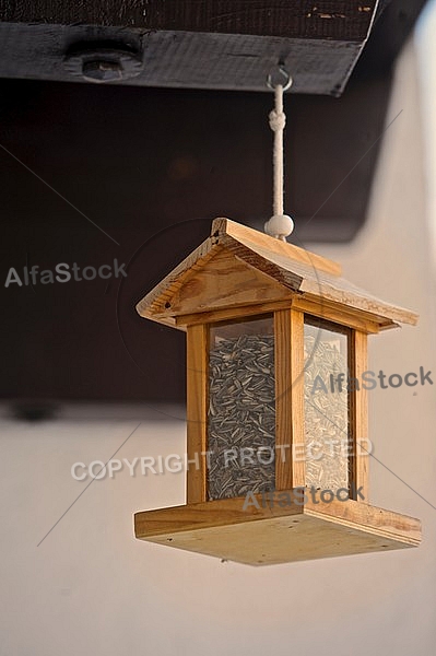 Bird feeder