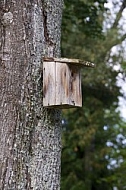 Bird feeders, animal protective.